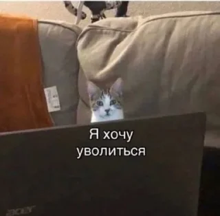 🌟 emoji рабочие мемы Telegram sticker 19 of 53