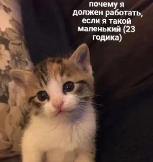 🌟 emoji рабочие мемы Telegram sticker 21 of 53