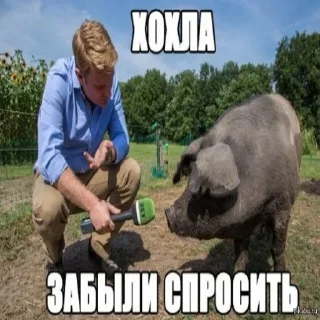 Sticker from Свинопак