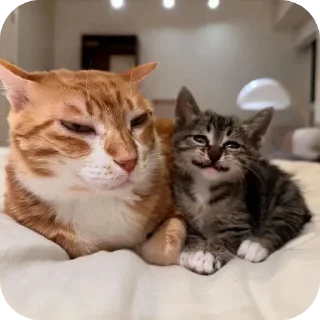 😠 emoji ааа блять я злой нахуй Telegram sticker 18 of 57