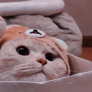 💗 emoji милота💗 Telegram sticker 23 of 55
