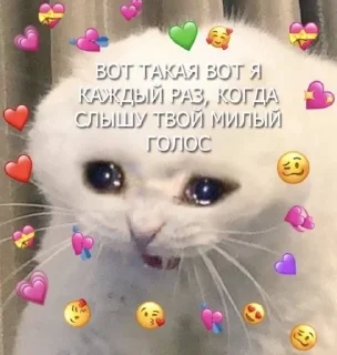 💗 emoji милота💗 Telegram sticker 18 of 55