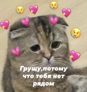 💗 emoji милота💗 Telegram sticker 22 of 55
