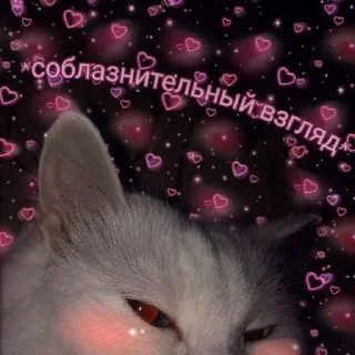 💗 emoji милота💗 Telegram sticker 20 of 55