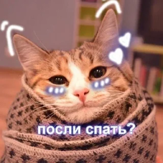 💗 emoji милота💗 Telegram sticker 16 of 55