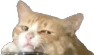🌟 emoji Мун и дед Telegram sticker 18 of 34