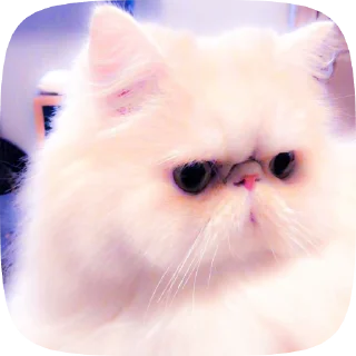 💨 emoji 𝑨𝑫𝑬𝑷𝑻𝑼𝑺 𝑿𝑰𝑨𝑶 𝑭𝑹𝑶𝑴 @Lvy096lY Telegram sticker 24 of 50