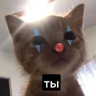 🤡 emoji нефары. Telegram sticker 14 of 80
