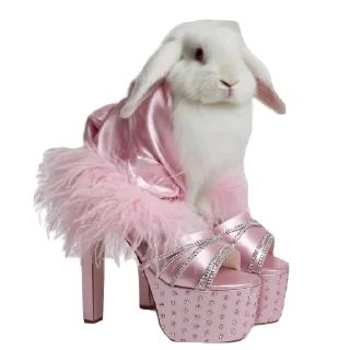 👜 emoji модные животные @solnataa Telegram sticker 8 of 11