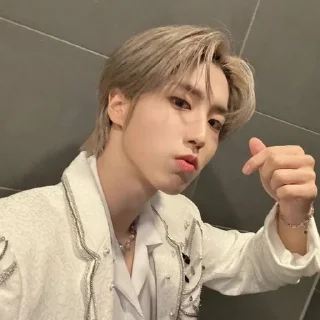 ❤️ emoji skz||@hanasitta Telegram sticker 5 of 103