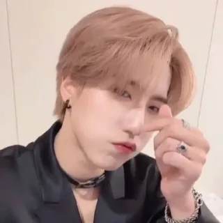❤️ emoji skz||@hanasitta Telegram sticker 4 of 103