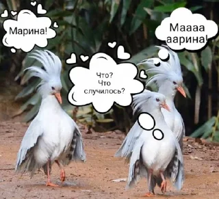 🫰 emoji ВСЁ КУПЛЕНО Kalina&Peleus_1 Telegram sticker 5 of 47