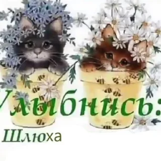 👎 emoji Бабки инсайдки Telegram sticker 15 of 46