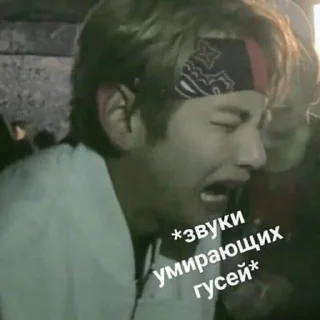 😵 emoji Бантаны Telegram sticker 13 of 44