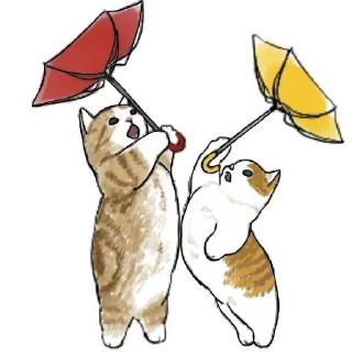 🌂 emoji ♡ Котята ♡ Telegram sticker 9 of 16
