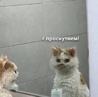 🌟 emoji На все случаи жизни 2.0 Telegram sticker 23 of 50