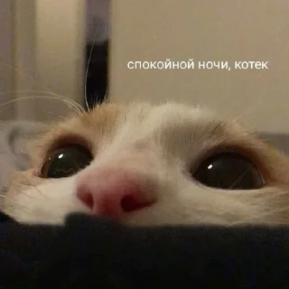 🌟 emoji На все случаи жизни 2.0 Telegram sticker 5 of 50