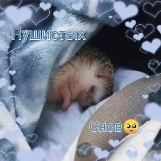 🌟 emoji На все случаи жизни 2.0 Telegram sticker 15 of 50