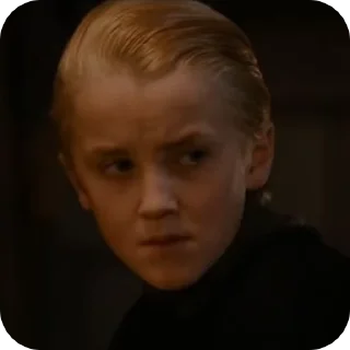 🍏 emoji Draco malfoy fr @lonrzeqx Telegram sticker 17 of 50