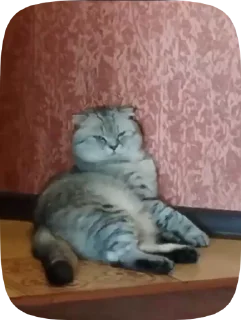 🤯 emoji стикеры богини юны Telegram sticker 15 of 18
