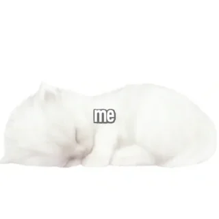😿 emoji 恐れ入りますが、宜しくお願い致します！@kotikmoinarkotik Telegram sticker 13 of 45