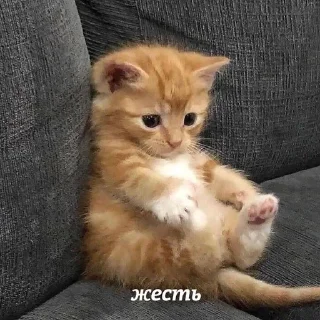 😳 emoji Милый пак Telegram sticker 16 of 108