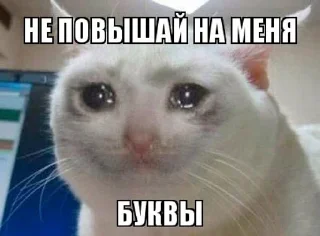 🥺 emoji суета марьина Telegram sticker 7 of 52
