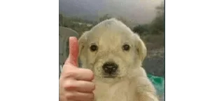 👍 emoji карточки коммуникации Telegram sticker 23 of 120