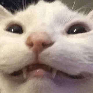 😁 emoji карточки коммуникации Telegram sticker 7 of 120
