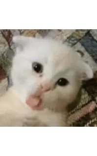 😝 emoji карточки коммуникации Telegram sticker 14 of 120