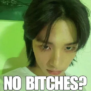 Sticker from no bitches? ʟᴜ