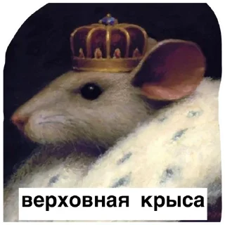 🤴 emoji anbrsv🫧 Telegram sticker 5 of 85