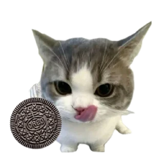 🐱 emoji meowwemii Telegram sticker 20 of 30