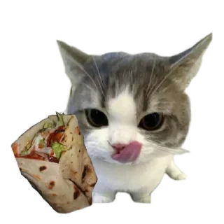 🐱 emoji meowwemii Telegram sticker 7 of 30