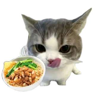 🐱 emoji meowwemii Telegram sticker 18 of 30