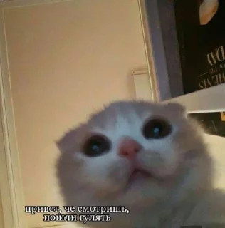 🫤 emoji на случай важных переговоров Telegram sticker 21 of 67