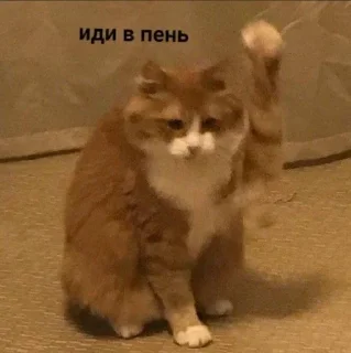 😠 emoji на случай важных переговоров Telegram sticker 15 of 67