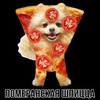 🍕 emoji Животное Telegram sticker 21 of 28