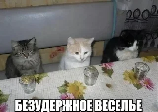 🌟 emoji Случайно сгенерированное имя Telegram sticker 21 of 120