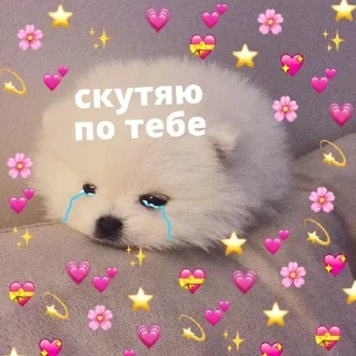 ❤ emoji а люди любят.... @quxal Telegram sticker 5 of 49
