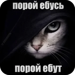 🫥 emoji ядалбаеп Telegram sticker 22 of 25