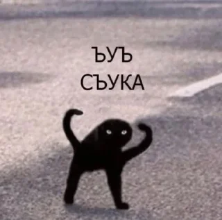 🌟 emoji Крысятник Telegram sticker 10 of 105