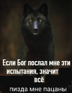 😀 emoji эзотерик бимбо кор Telegram sticker 23 of 120