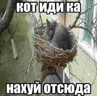 👋 emoji эзотерик бимбо кор Telegram sticker 20 of 120