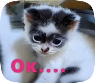 😭 emoji YinCageyGins Telegram sticker 6 of 10