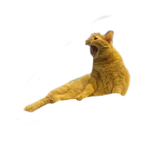 🌟 emoji ааааа Telegram sticker 9 of 13