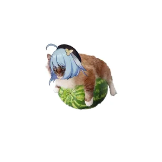 🐈 emoji элизия домой бвстро Telegram sticker 17 of 27