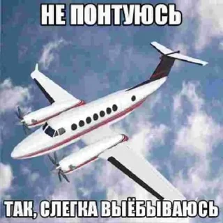 🛩️ emoji Неведомая Хуйня @bulba40 Telegram sticker 22 of 40