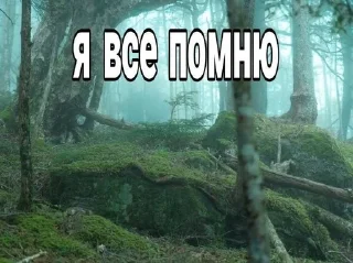 🙄 emoji для важных переговоров Telegram sticker 13 of 18