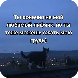 🐱 emoji пиздаболка Telegram sticker 23 of 76